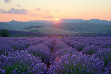 Similar image 22087207