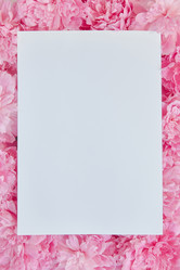 Similar image 22059126