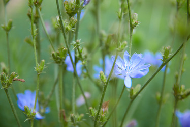 Similar image 22059127