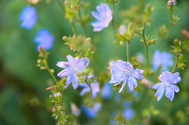 Similar image 22059131