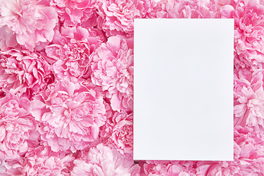 Similar image 22059135