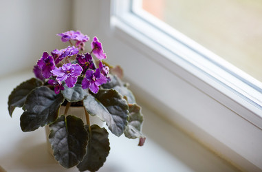 Similar image 22059136