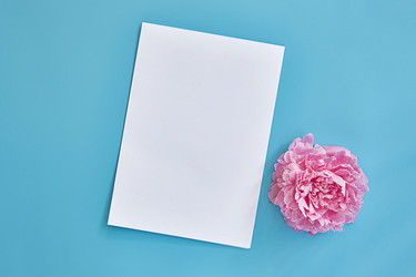 Similar image 22059141