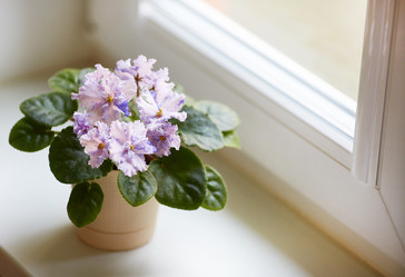 Similar image 22059142