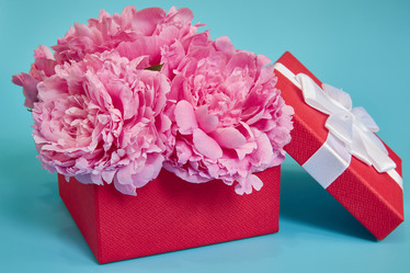 Similar image 22059145