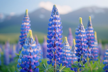 Similar image 22087463