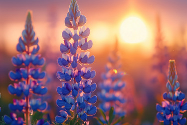 Similar image 22087464