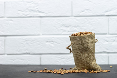 Similar image 22060955