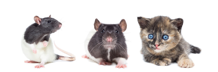 Similar image 22061490