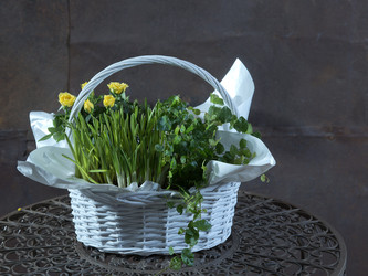 Similar image 22059825