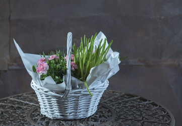 Similar image 22059826