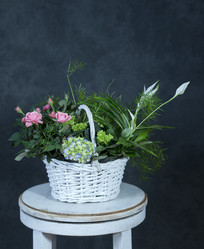 Similar image 22059832