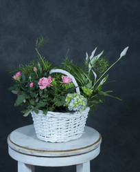 Similar image 22059833