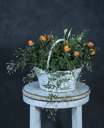 Similar image 22059460