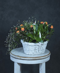 Similar image 22059461