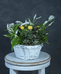 Similar image 22059463