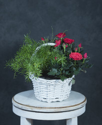 Similar image 22059464