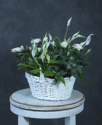 Similar image 22059467