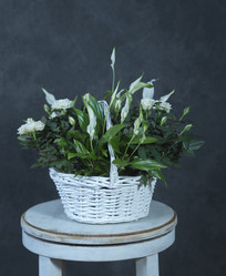 Similar image 22059468