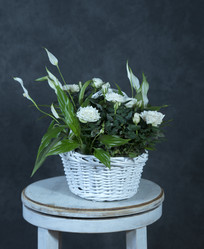 Similar image 22059469