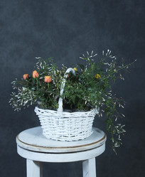 Similar image 22059470