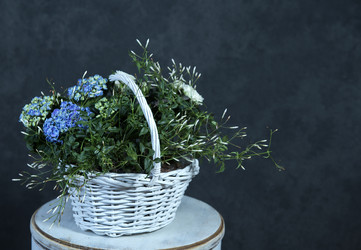 Similar image 22059472