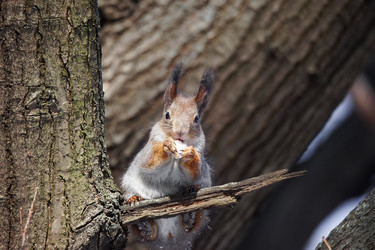 Similar image 22060340