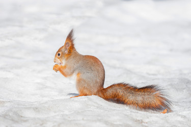 Similar image 22060345