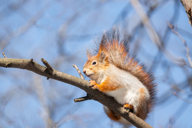 Similar image 22060346