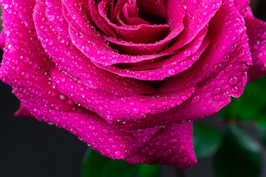 Similar image 22060354