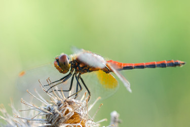 Similar image 22060355