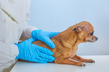 Similar image 22059521