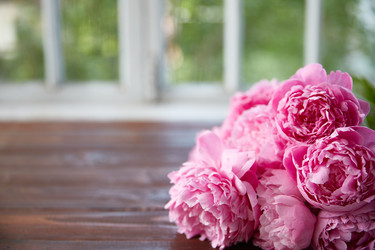 Similar image 22059540