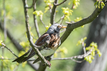 Similar image 22061526