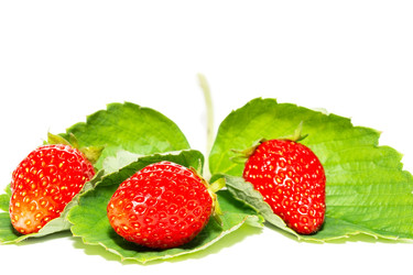 Similar image 22061529