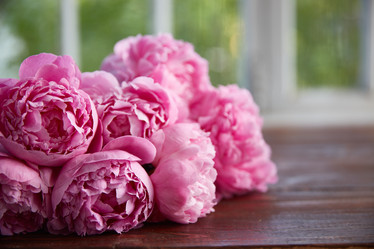 Similar image 22059554