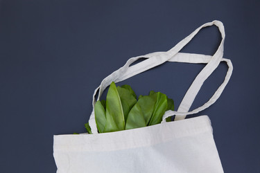 Similar image 22059558