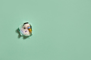 Similar image 22059559