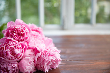 Similar image 22058822