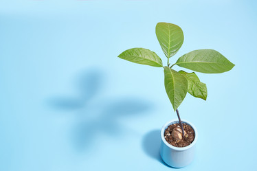 Similar image 22059163