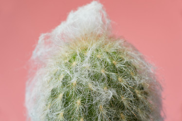 Similar image 22059166