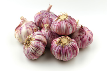 Similar image 22089575