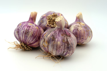 Similar image 22089583