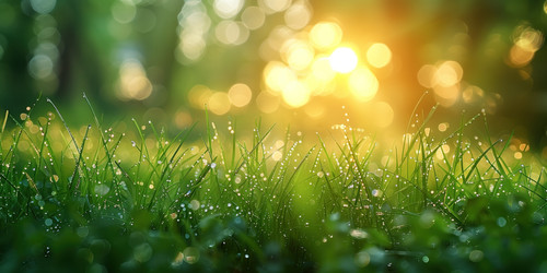 Similar image 22089585