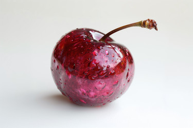 Similar image 22092026