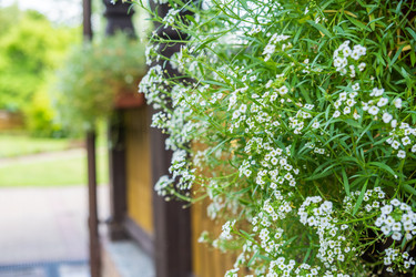 Similar image 22059290