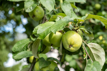 Similar image 22059292