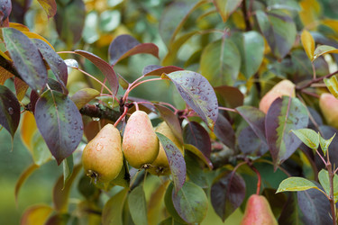 Similar image 22059293