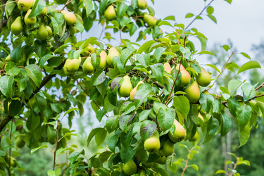 Similar image 22059296