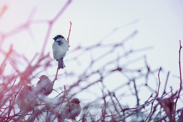 Similar image 22068553